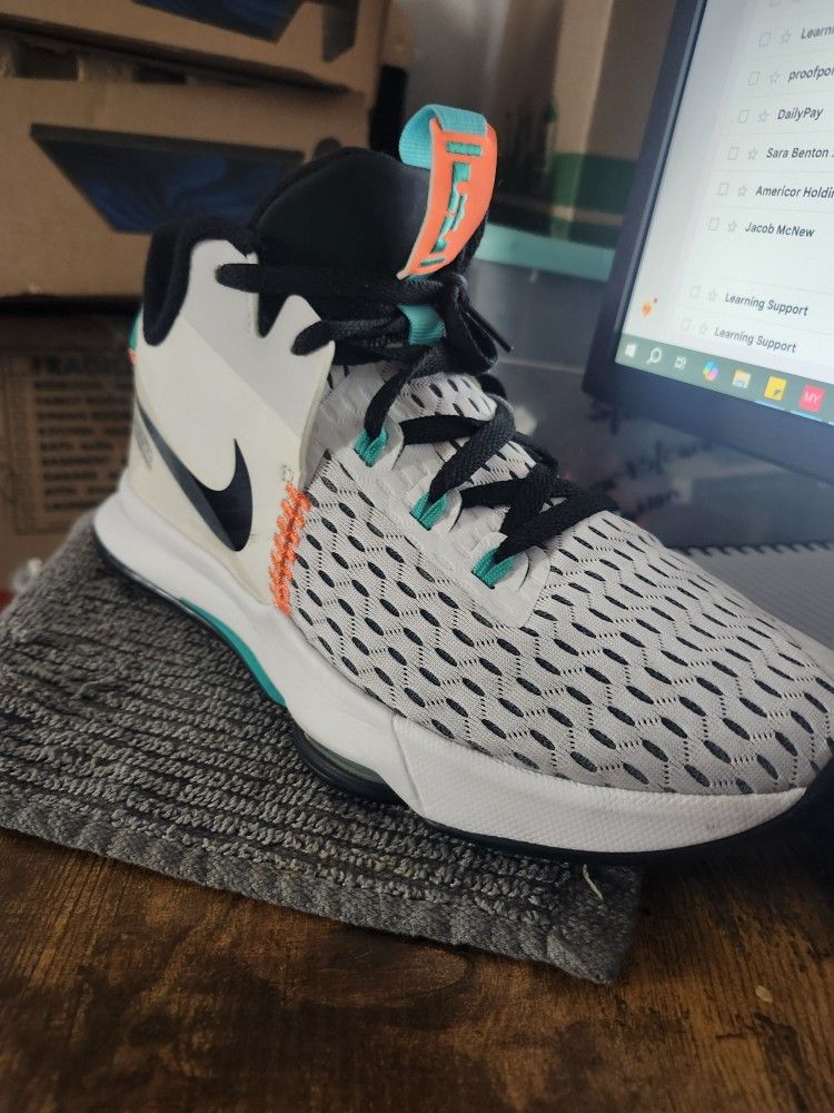 Nike LeBron