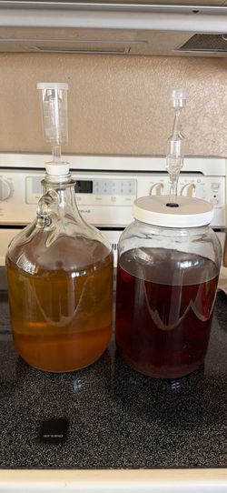 Mead/honey wine Fermentation Kit