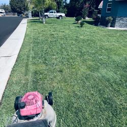 Cut grass $ 70 up