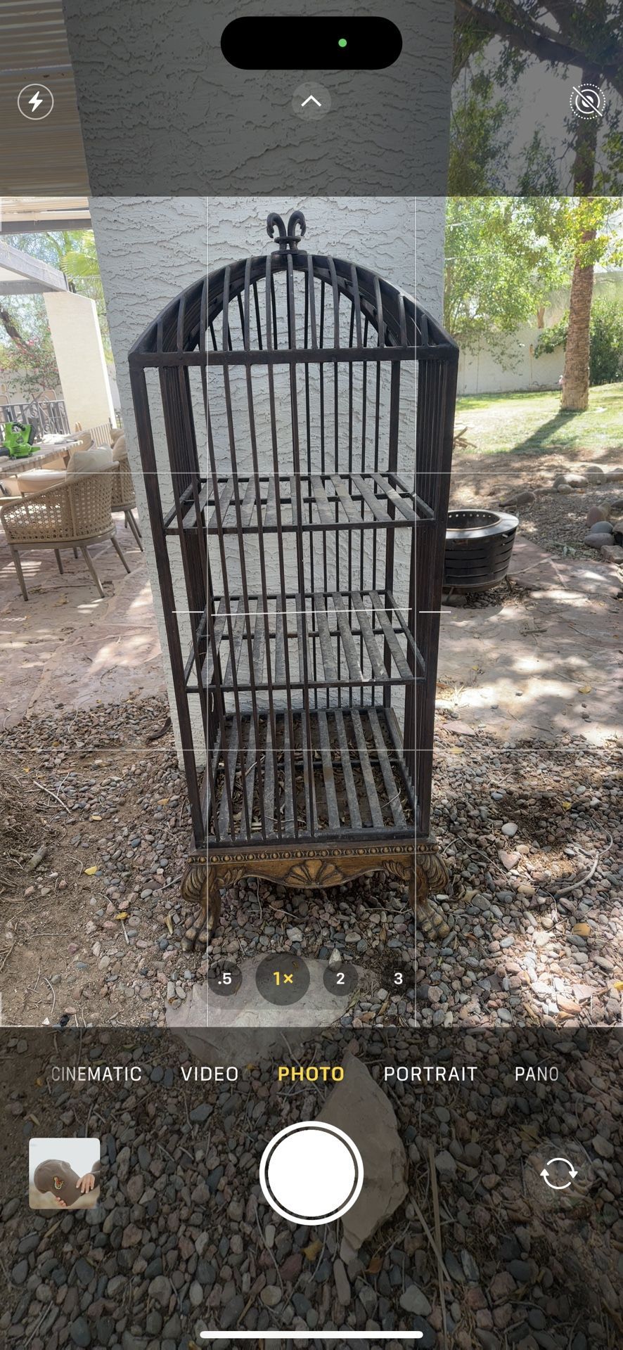 Vintage Wrought Iron Birdcage Shelf – Tall Display Rack - $250