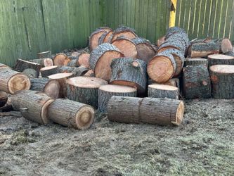 Free firewood