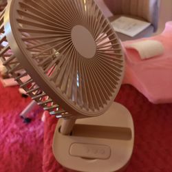 Pink Fan 