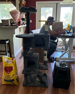 Selling a cat , cat litter,  litter scooper,  cat tower, and a cat toy