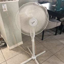 Fan