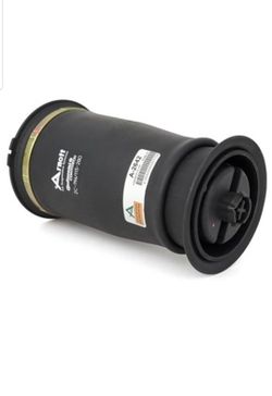 Arnott rear air spring