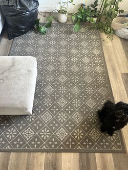 5' x 7' Area Rug – Good Condition