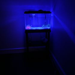 25 gallon aquarium tank W/ accessories (Price is negotiable)