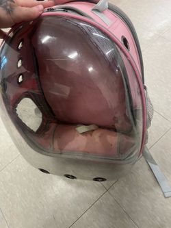 pet backpack