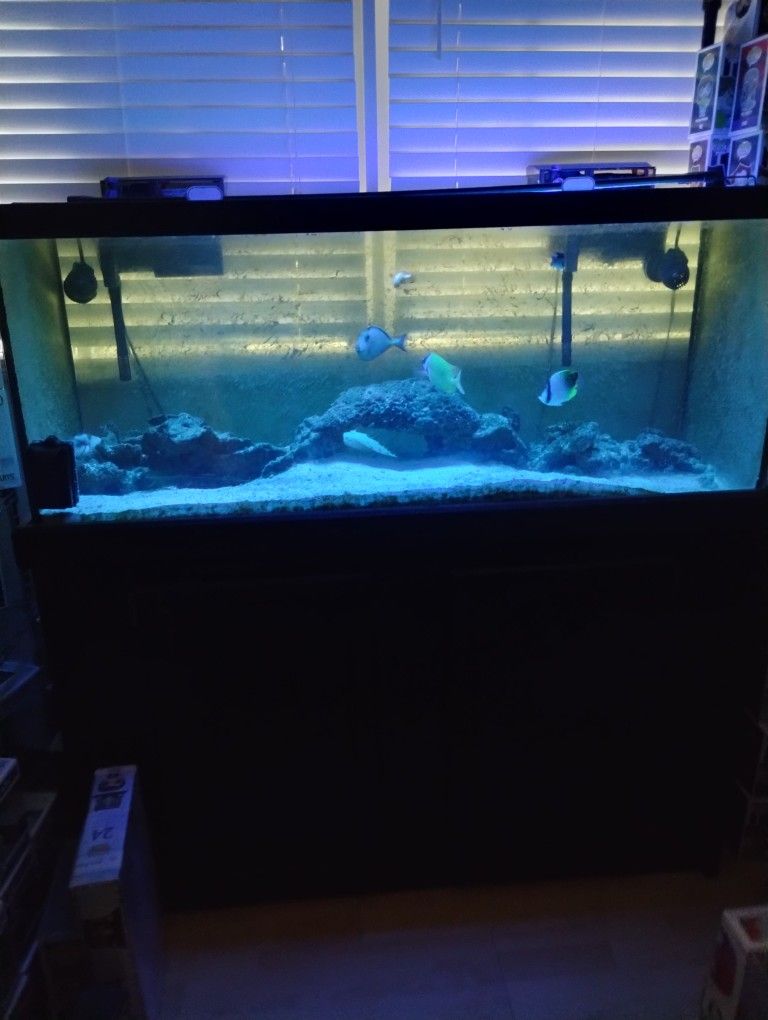 75 Gallon Fish tank And Stand For Sale