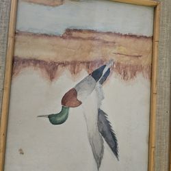 Duck paintings