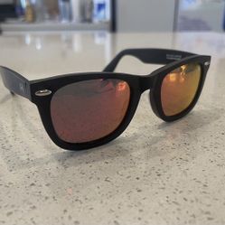 William Painter Polarized Sunglasses…….