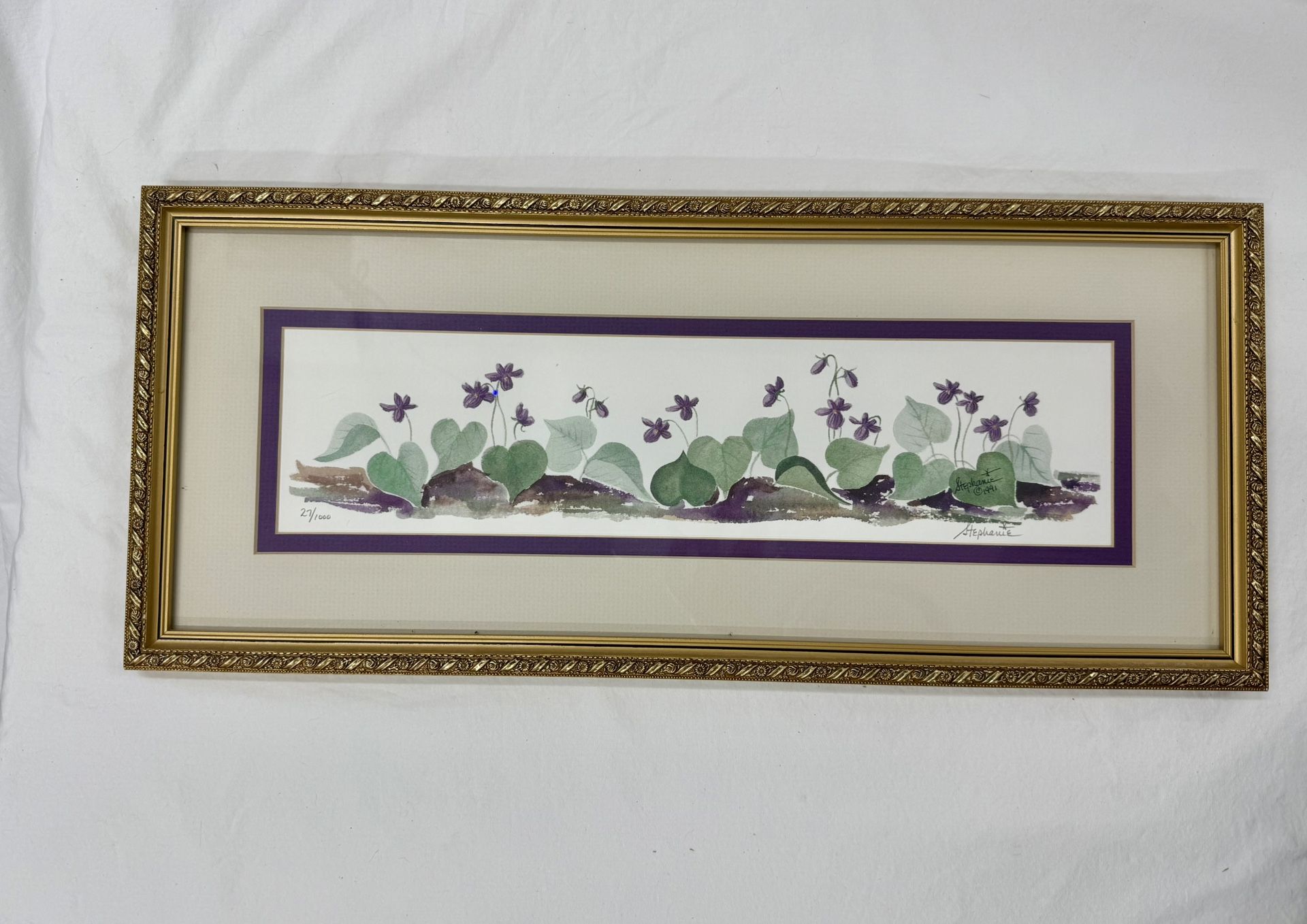 Vintage Framed 27/1000 by Stephanie Floral Botanical Art, Under Glass, 21"X9"