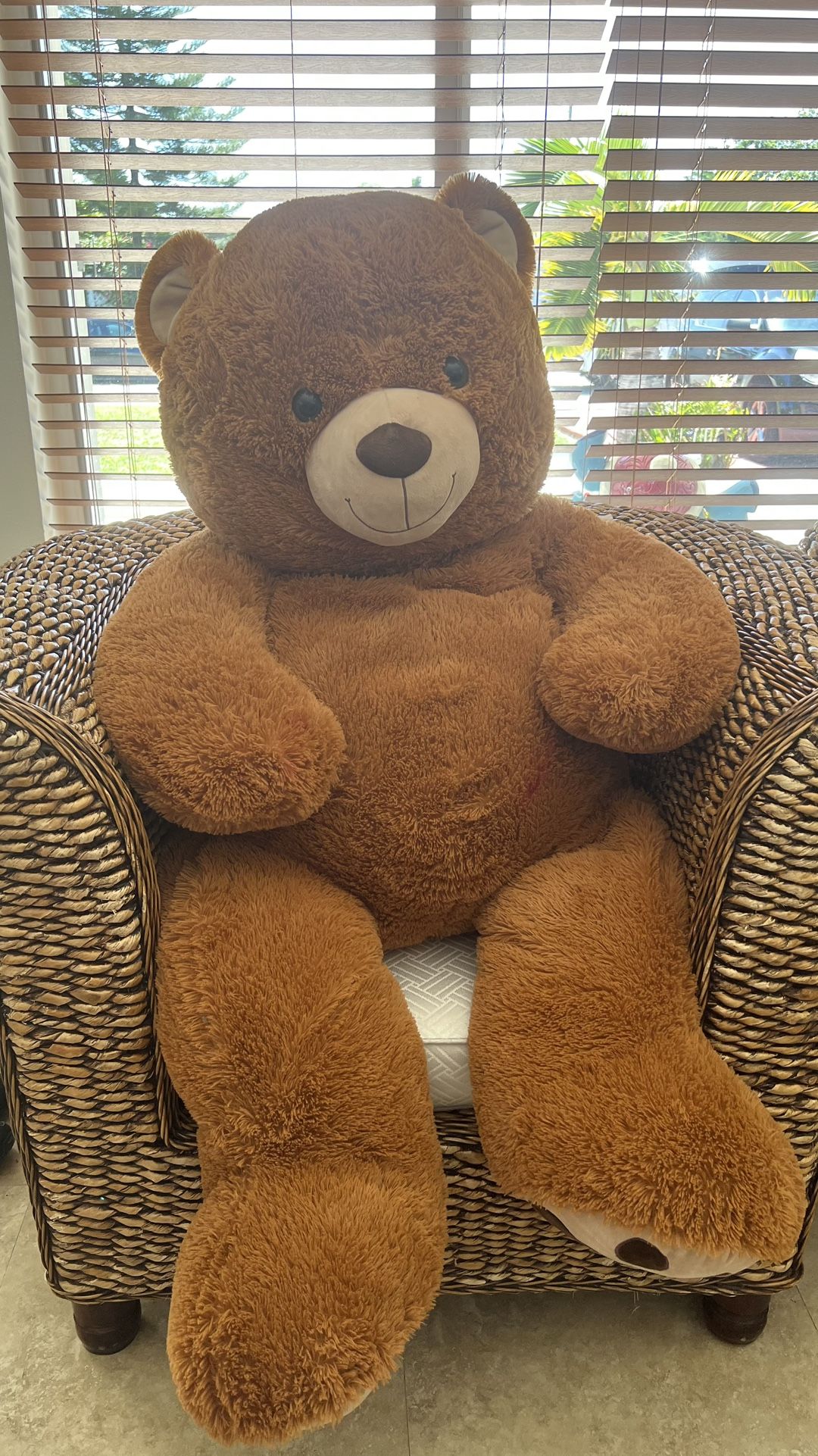 Teddy Bear New