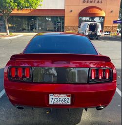 Carbon fiber decklid for 05-09 Mustang