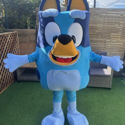 BLUEY COSTUME 