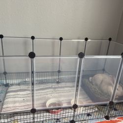 Cage