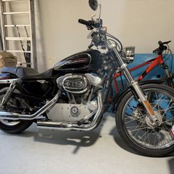 2008 Sportster Xl883 Custom 