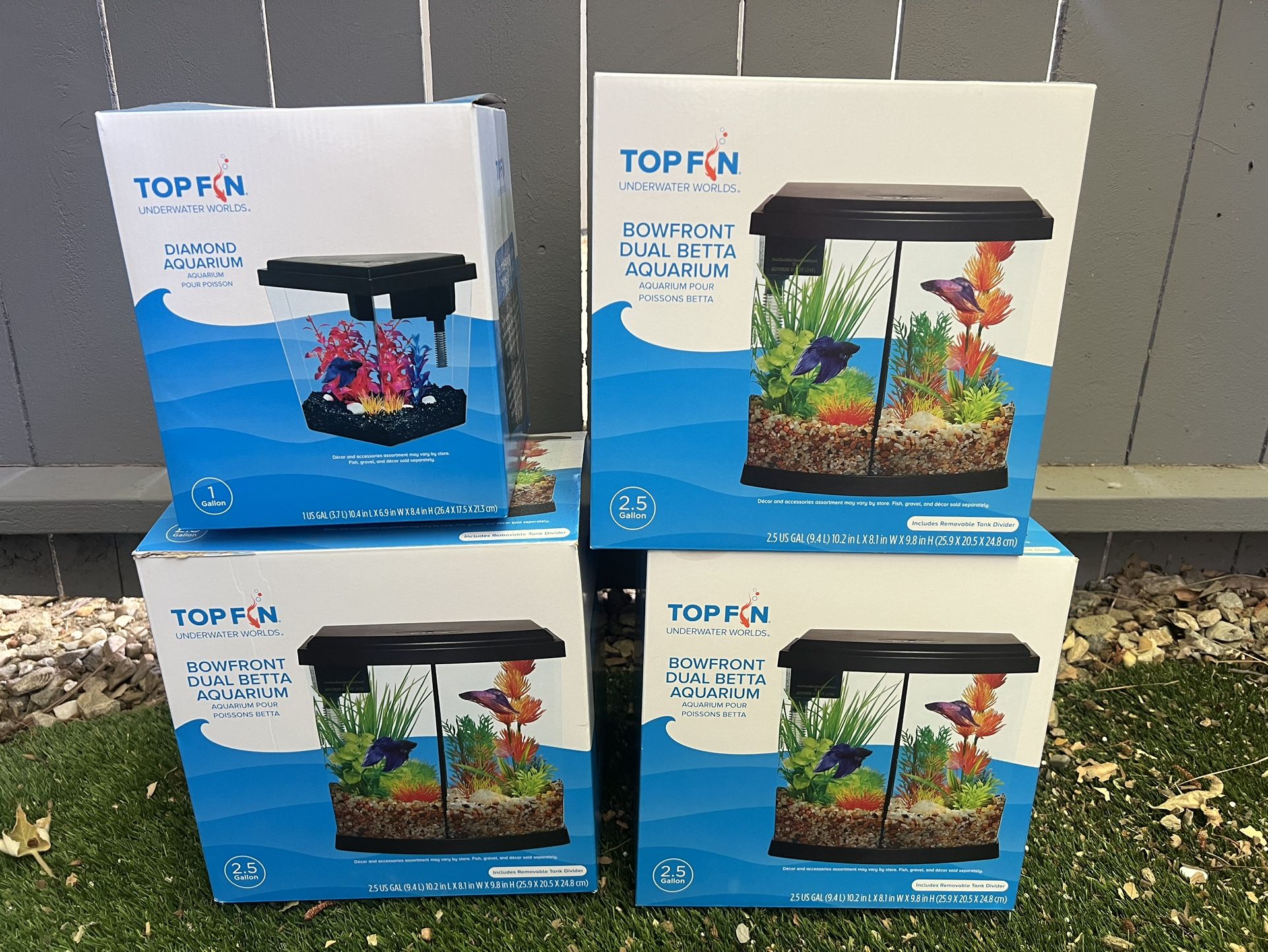 Beta Fish Tanks
