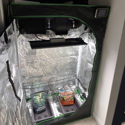 Full grow tent setup