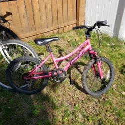 20" Bike