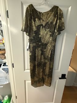 Andrianna Papell Dress 👗