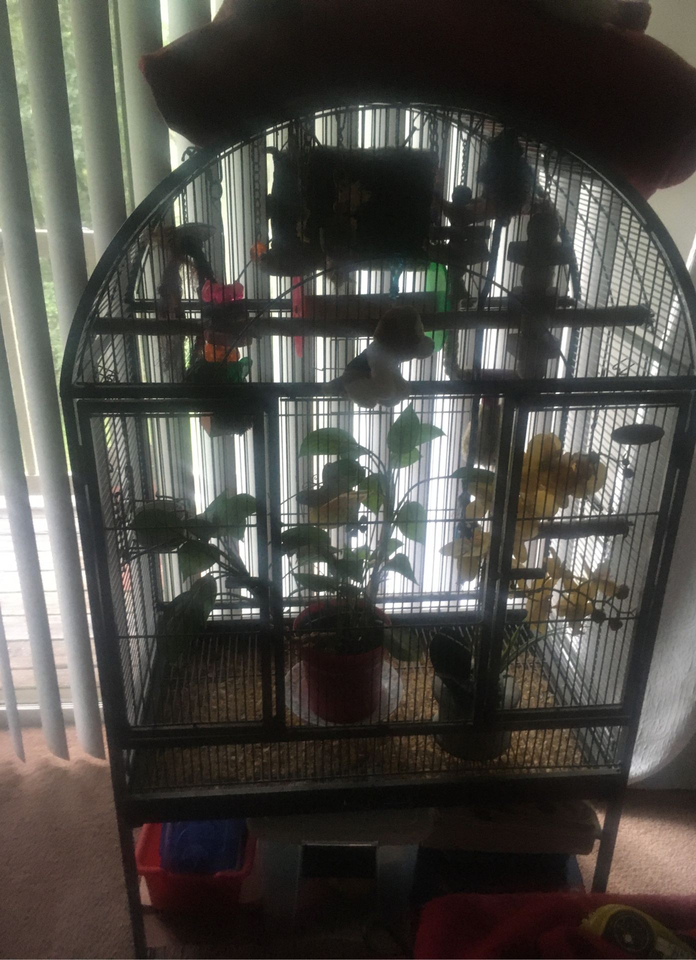 Large Bird Cage & Perot Toys