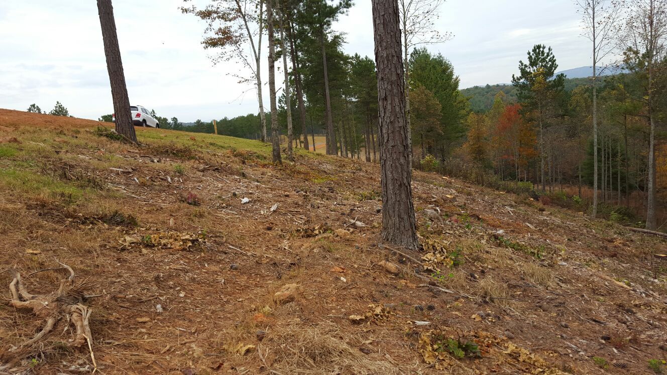 North GA Mountains land 1.89 acres in gated community for