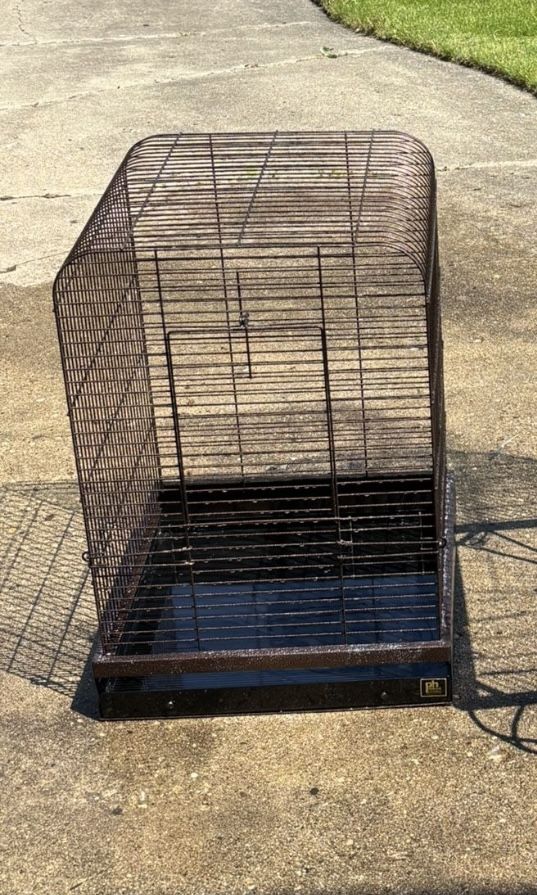 Bird Cage