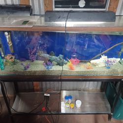 55gal Aquarium Setup