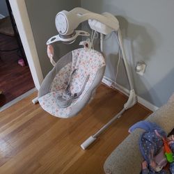 Baby Swing