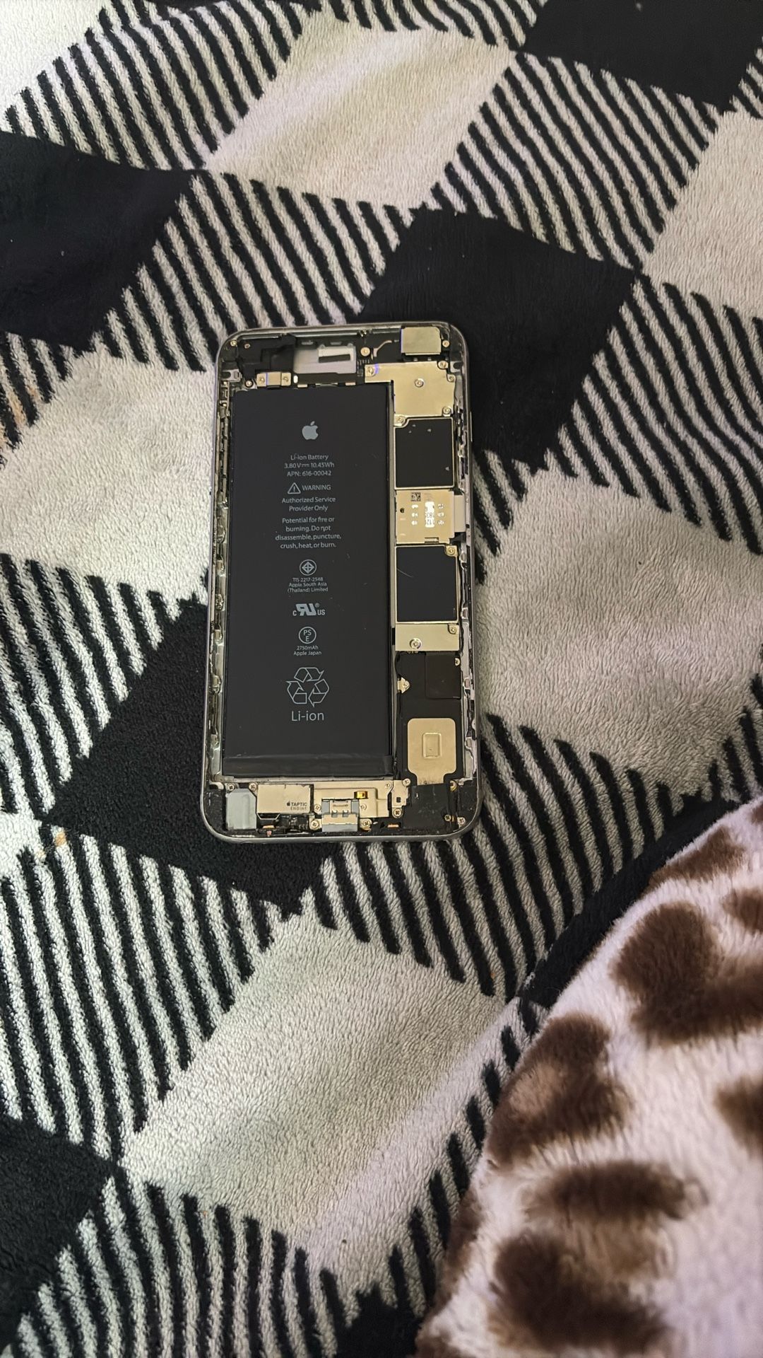 iPhone 6s And iPhone 6plus 