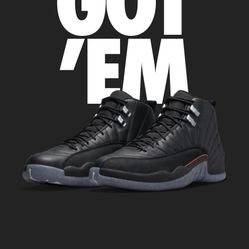 Jordan 12  Black Utility 