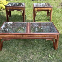 Vintage Bamboo Glass Tables 