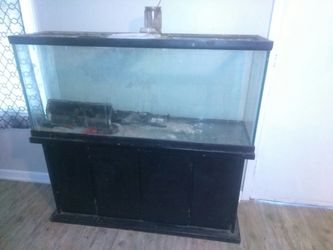 Fish tank mpu