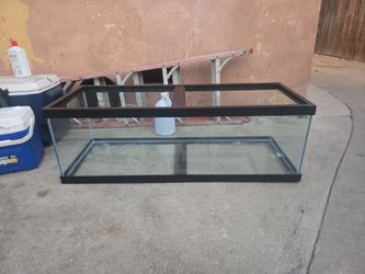 Fish tank