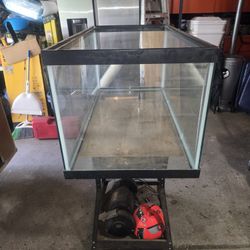 40 Gallon Fish Tank
