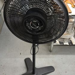Fan