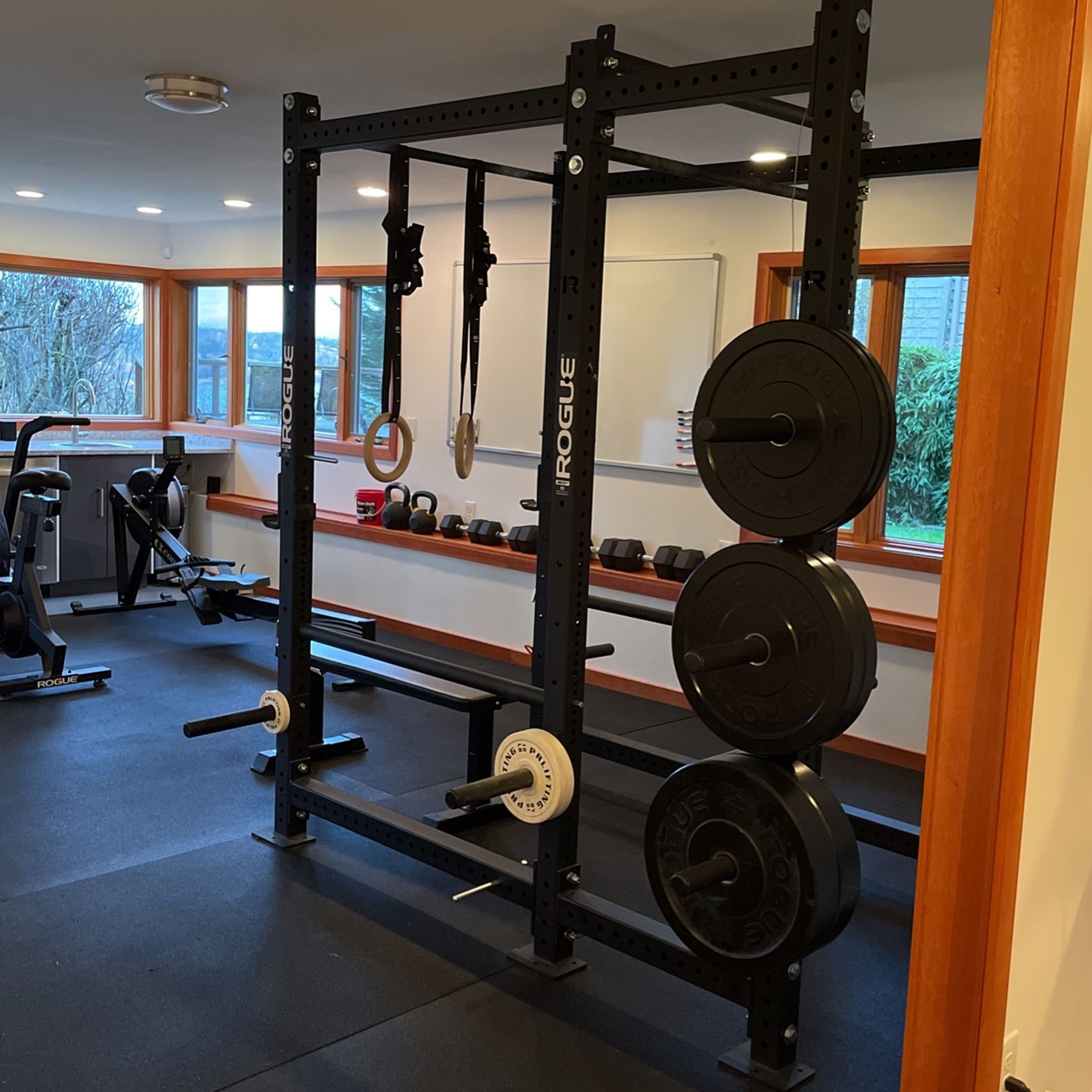 Rogue Pull-up And Squat rack