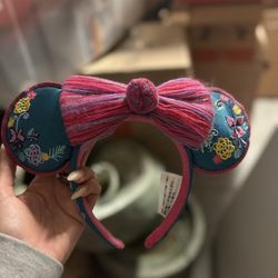 Disney & Custom Mickey Ears 