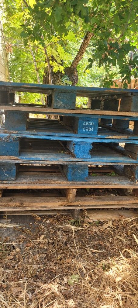 Pallets In Lafayette 24 Pallets