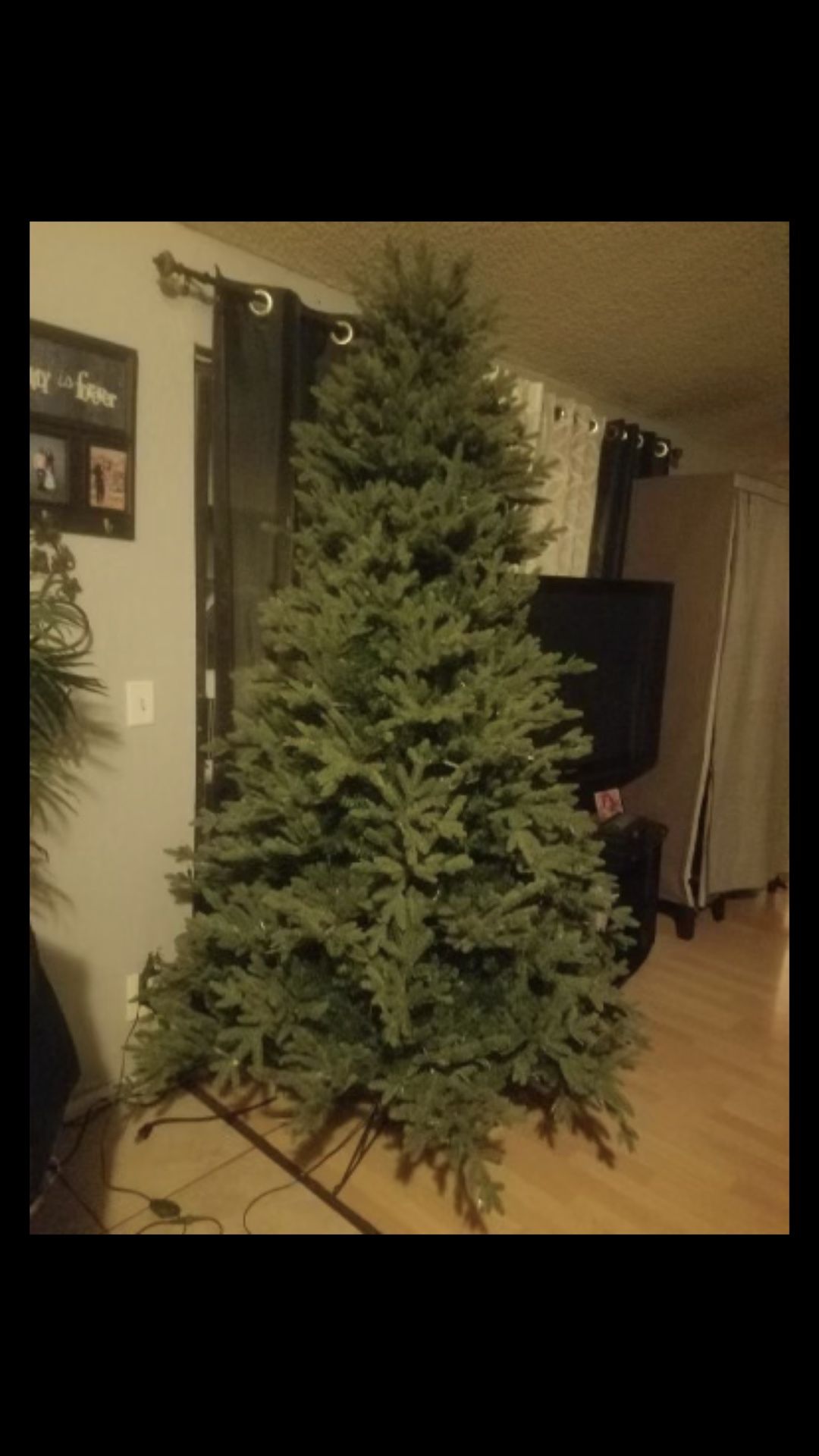 Christmas three with lights