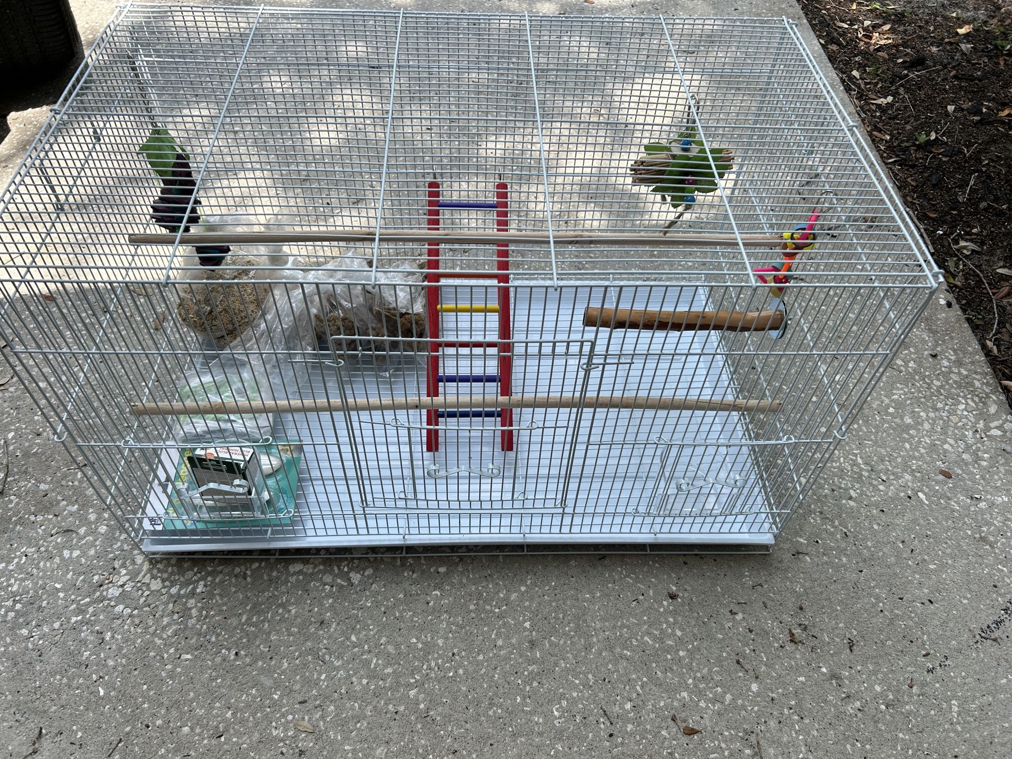 Bird Case