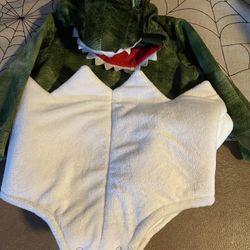 Dinosaur Egg Costume