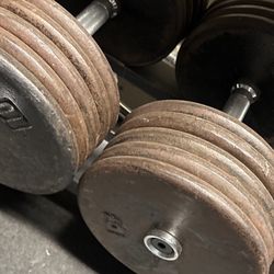 100lbs  Dumbbells  