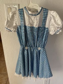 Wizard of Oz Dorothy costume