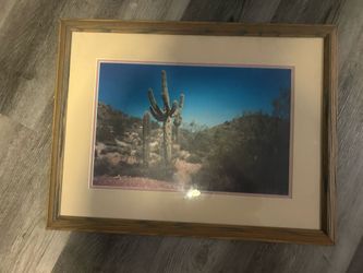 Desert Landscape