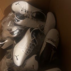 Puma Shoes For Sale 