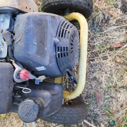Pressure washer. honda motor