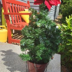 Christmas Decor