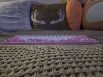 Ducky x Varmilo Miya Mac Pro Sakura Round 2 White LED 65% Double Shot PBT wired Mechanical Keyboard with Cherry MX Red switches selling for 90 bucks